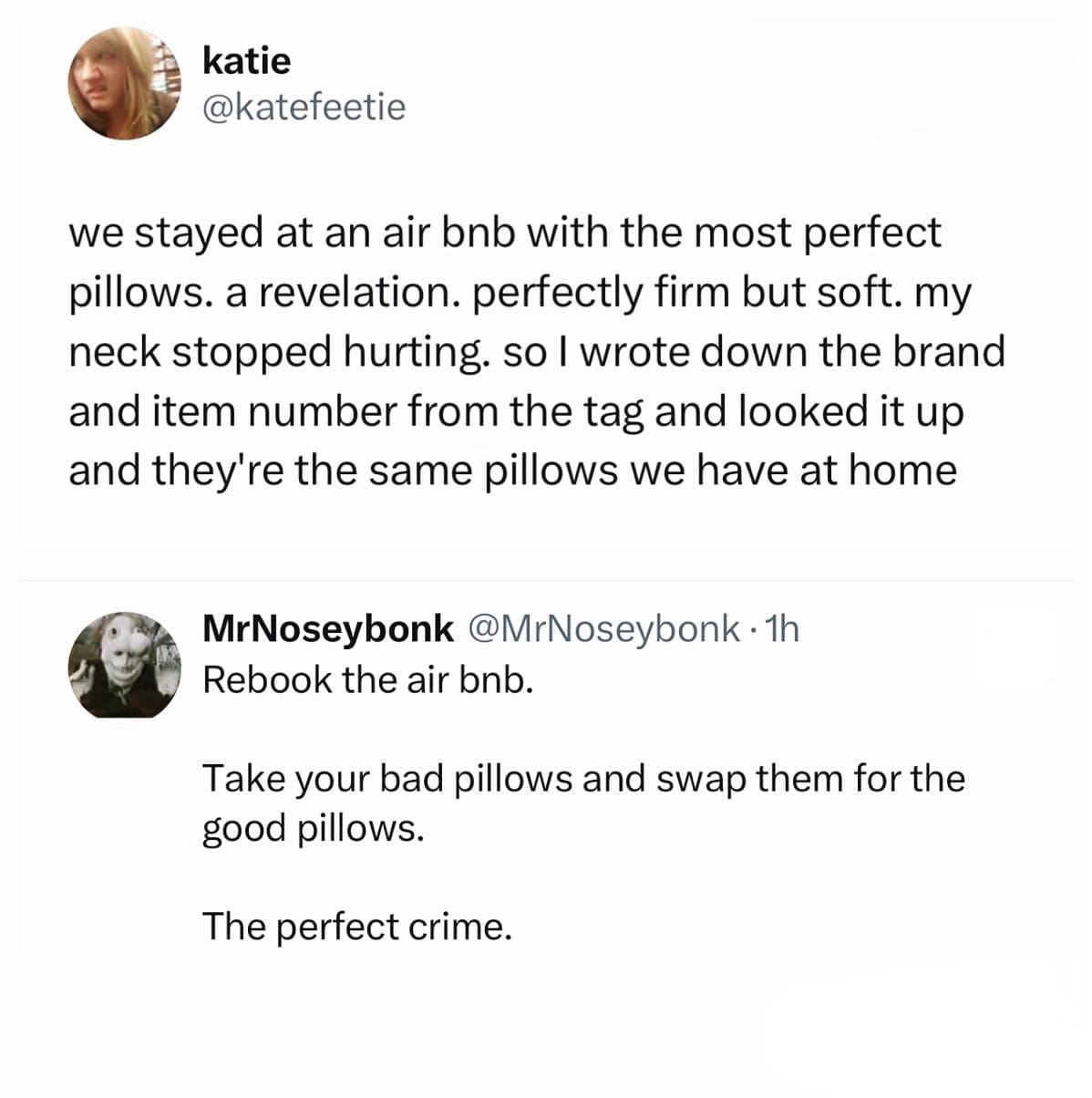 funny memes. we stayed at an air bnb with the most perfect pillows. a revelation. perfectly firm but soft. my neck stopped hurting. so I wrote down the brand and item number from the tag and looked it up and they're the same pillows we have at