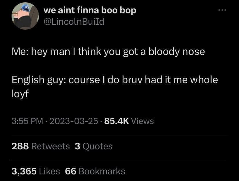 funny memes. Me: hey man I think you got a bloody nose English guy: course I do bruv had it me whole loyf