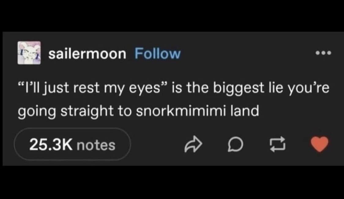 funny memes. "I'll just rest my eyes" is the biggest lie you're going straight to snorkmimimi land