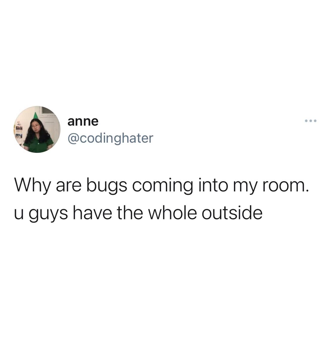 funny memes. Why are bugs coming into my room. u guys have the whole outside