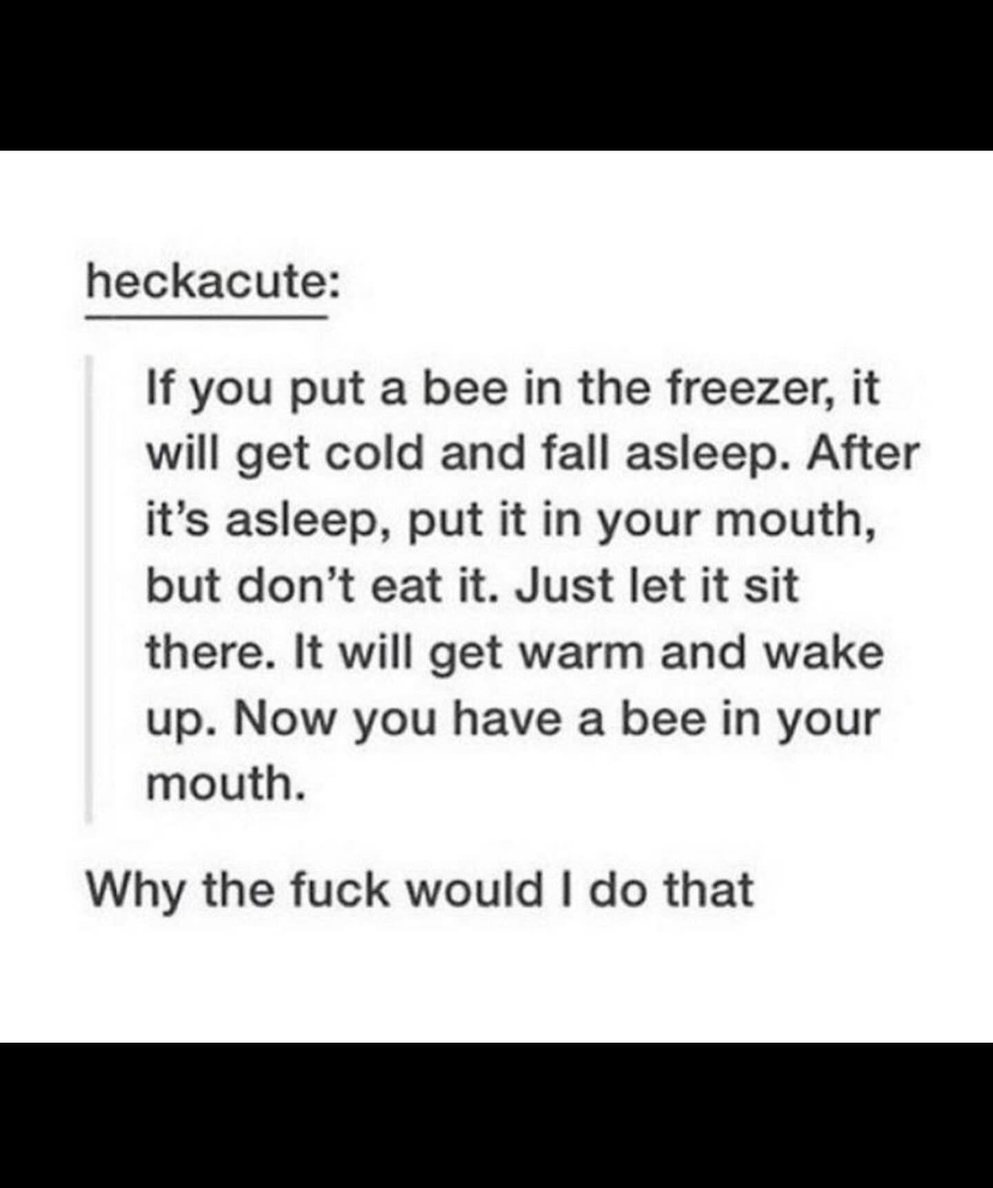 funny memes. If you put a bee in the freezer, it will get cold and fall asleep. After it's asleep, put it in your mouth, but don't eat it. Just let it sit there. It will get warm and wake up. Now you have a bee in your mouth.