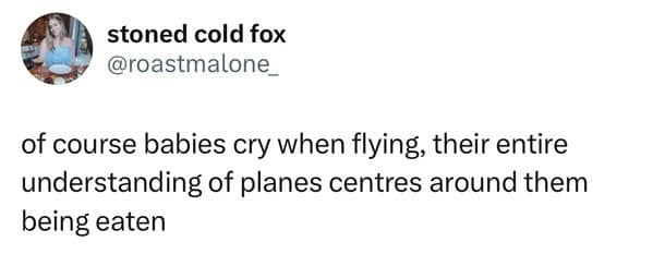 funny pics. of course babies cry when flying, their entire understanding of planes centres around them being eaten
