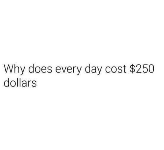 funny pics. Why does every day cost $250 dollars