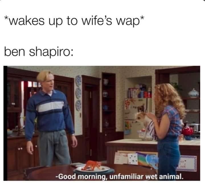 funny pics. *wakes up to wife's wap* ben shapiro: -Good morning, unfamiliar wet animal.