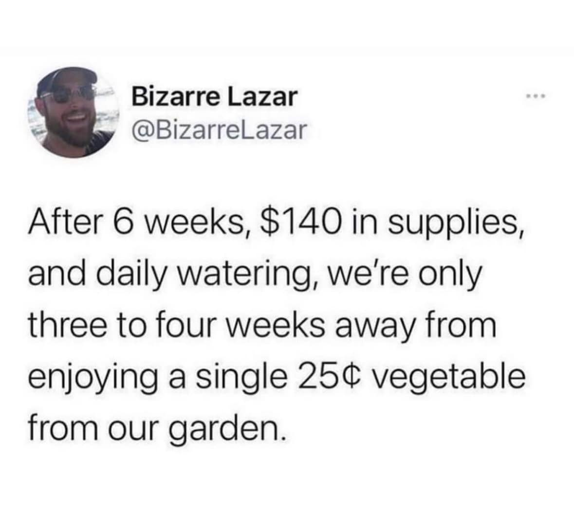 funny pics. After 6 weeks, $140 in supplies, and daily watering, we're only three to four weeks away from enjoying a single 25¢ vegetable from our garden.