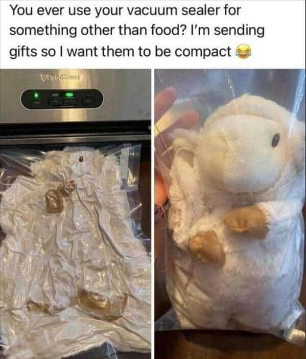 funny pics. You ever use your vacuum sealer for something other than food? I'm sending gifts so I want them to be compact