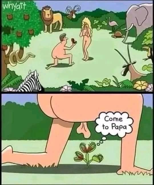 funny pics.