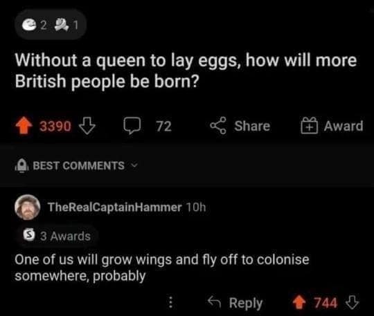 funny puns, punny memes, humorous puns, witty jokes, clever wordplay