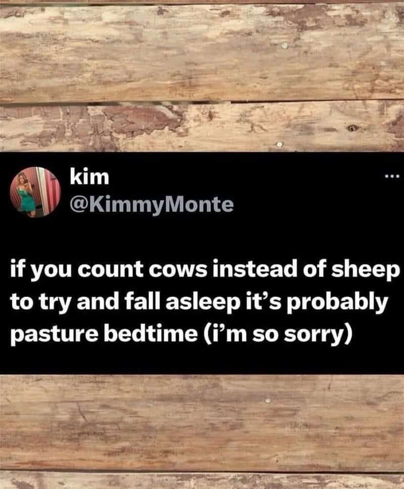 funny puns, punny memes, humorous puns, witty jokes, clever wordplay