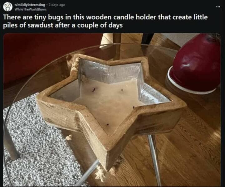 funny reddit posts, funny reddits, Hilarious Reddit content, Weird Reddit, Reddit finds