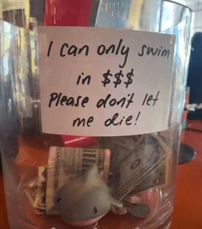 funny tip jars, creative tipping ideas, humorous tip containers, clever service industry jokes, witty tip jars, entertaining tip containers, funny tipping concepts