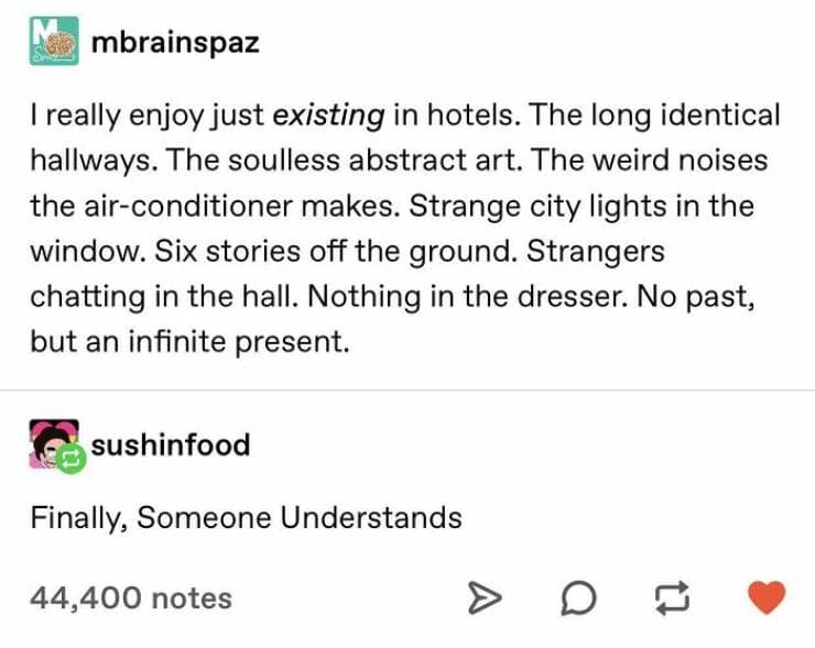 I really enjoy just existing in hotels. The long identical hallways. The soulless abstract art. The weird noises the air-conditioner makes. Strange city lights in the window. Six stories off the ground. Strangers chatting in the hall. Nothing in the dresser. No past, but an infinite present.