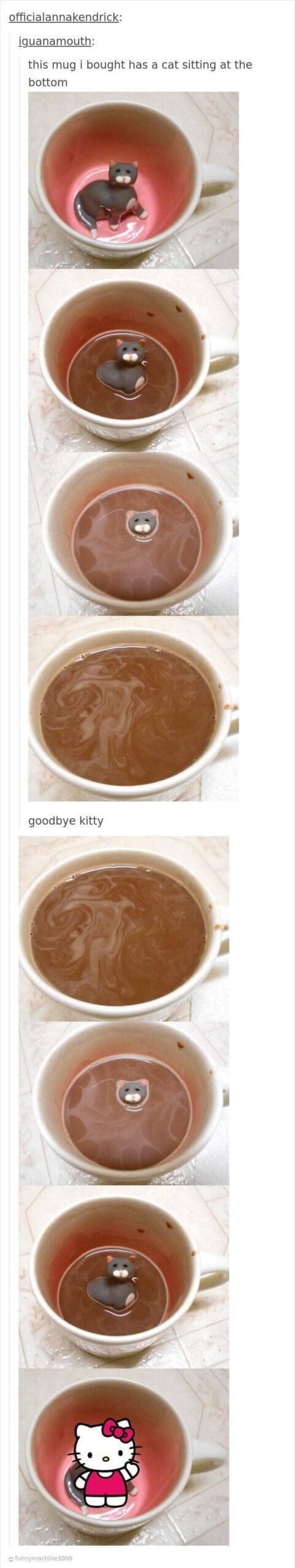 funny Tumblr replies.