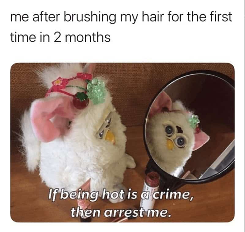 furby memes. me after brushing my hair for the first time in 2 months If being hot is a crime, then arrest me.