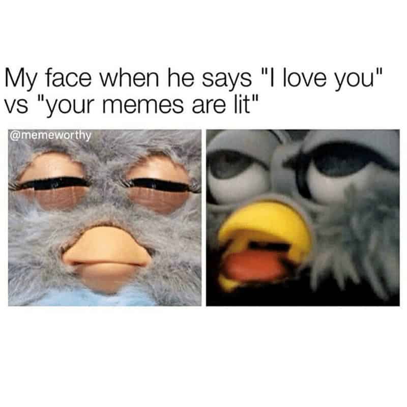 furby memes.