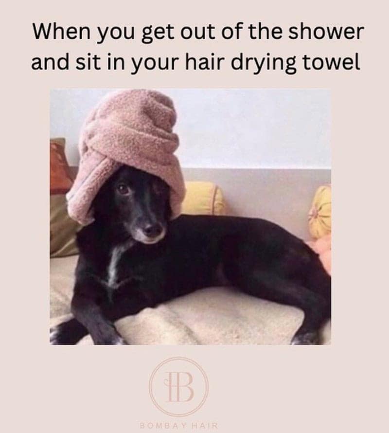 hair care memes. When you get out of the shower and sit in your hair drying towel