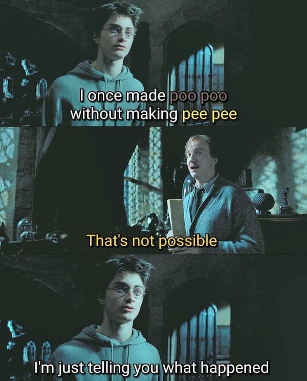 harry potter memes, wizarding world humor, magical memes, Hogwarts jokes, Potterverse memes, spellbinding humor, Dumbledore's laughter spells