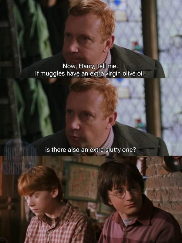 harry potter memes, wizarding world humor, magical memes, Hogwarts jokes, Potterverse memes, spellbinding humor, Dumbledore's laughter spells