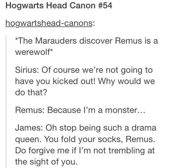 harry potter memes, wizarding world humor, magical memes, Hogwarts jokes, Potterverse memes, spellbinding humor, Dumbledore's laughter spells