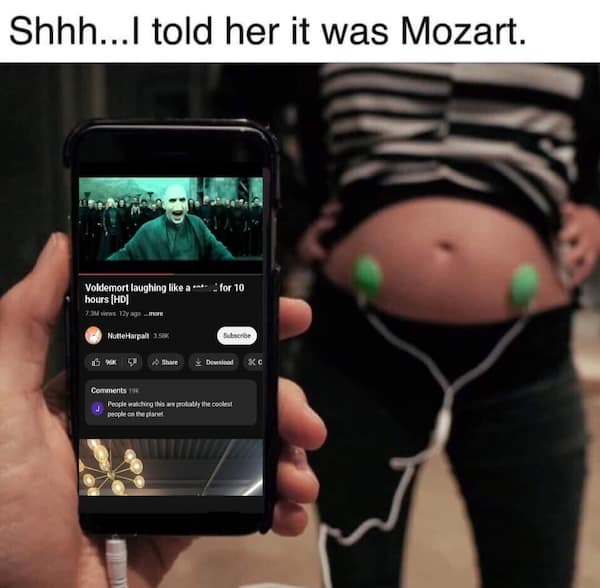 harry potter memes, wizarding world humor, magical memes, Hogwarts jokes, Potterverse memes, spellbinding humor, Dumbledore's laughter spells