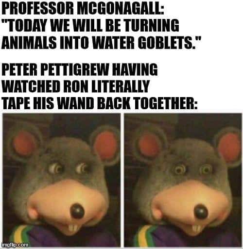 harry potter memes, wizarding world humor, magical memes, Hogwarts jokes, Potterverse memes, spellbinding humor, Dumbledore's laughter spells