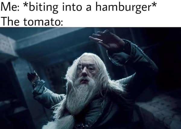 harry potter memes, wizarding world humor, magical memes, Hogwarts jokes, Potterverse memes, spellbinding humor, Dumbledore's laughter spells