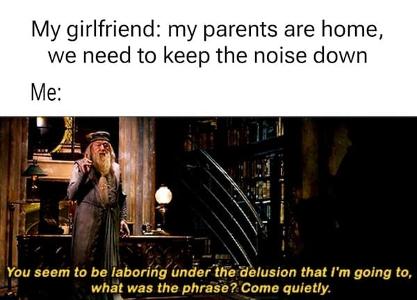 harry potter memes, wizarding world humor, magical memes, Hogwarts jokes, Potterverse memes, spellbinding humor, Dumbledore's laughter spells