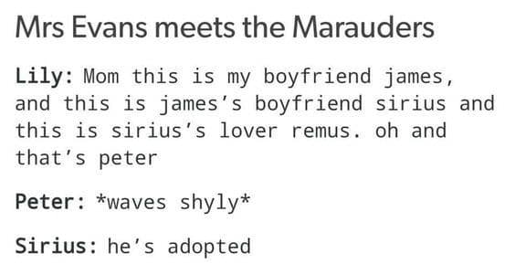 harry potter memes, wizarding world humor, magical memes, Hogwarts jokes, Potterverse memes, spellbinding humor, Dumbledore's laughter spells