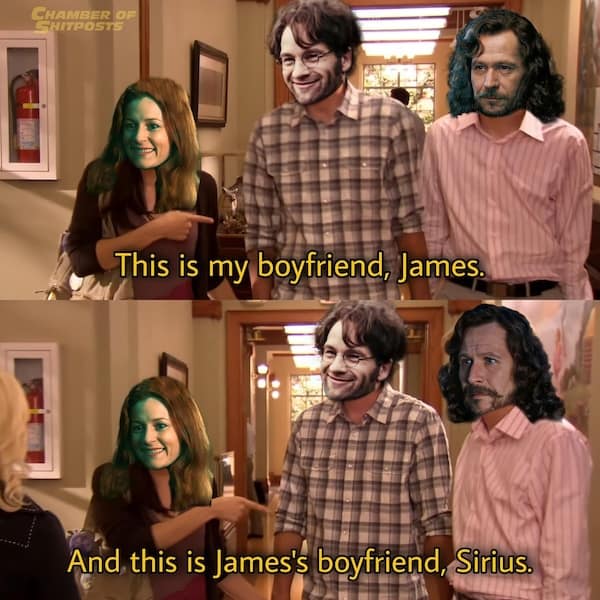 harry potter memes, wizarding world humor, magical memes, Hogwarts jokes, Potterverse memes, spellbinding humor, Dumbledore's laughter spells