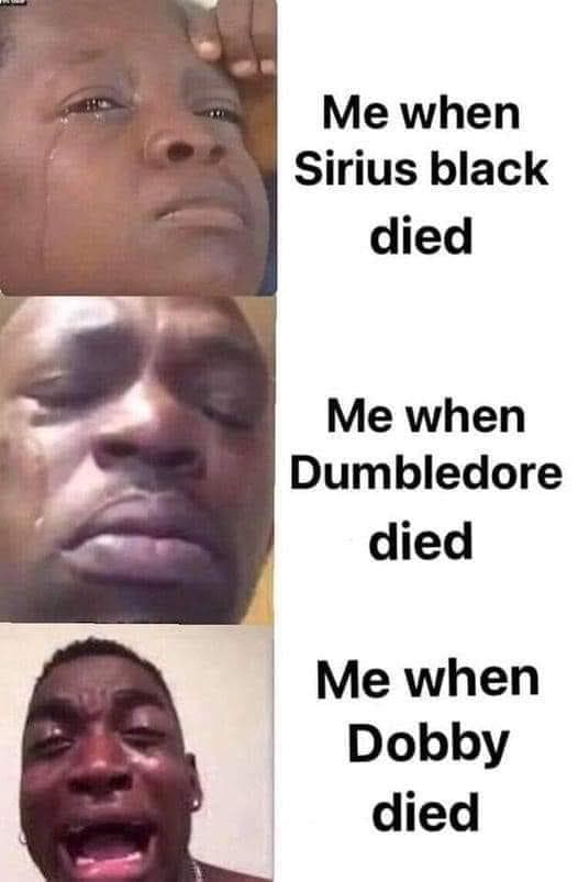 harry potter memes, wizarding world humor, magical memes, Hogwarts jokes, Potterverse memes, spellbinding humor, Dumbledore's laughter spells