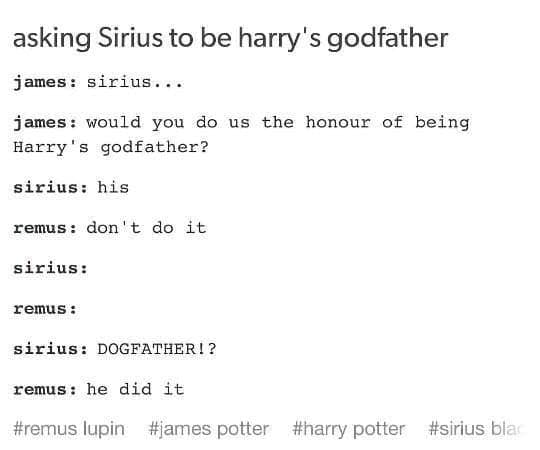 harry potter memes, wizarding world humor, magical memes, Hogwarts jokes, Potterverse memes, spellbinding humor, Dumbledore's laughter spells