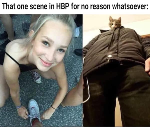 harry potter memes, wizarding world humor, magical memes, Hogwarts jokes, Potterverse memes, spellbinding humor, Dumbledore's laughter spells