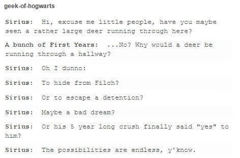 harry potter memes, wizarding world humor, magical memes, Hogwarts jokes, Potterverse memes, spellbinding humor, Dumbledore's laughter spells