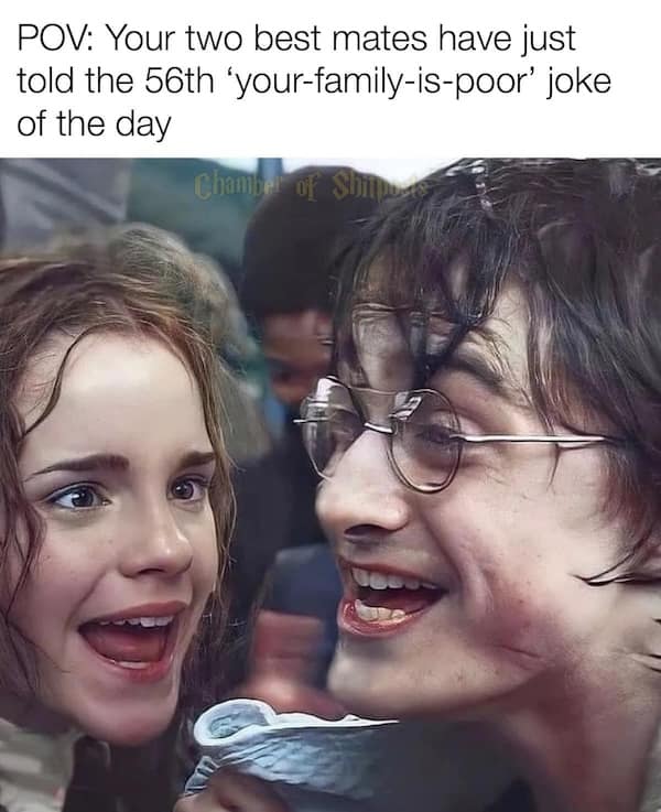 harry potter memes, wizarding world humor, magical memes, Hogwarts jokes, Potterverse memes, spellbinding humor, Dumbledore's laughter spells