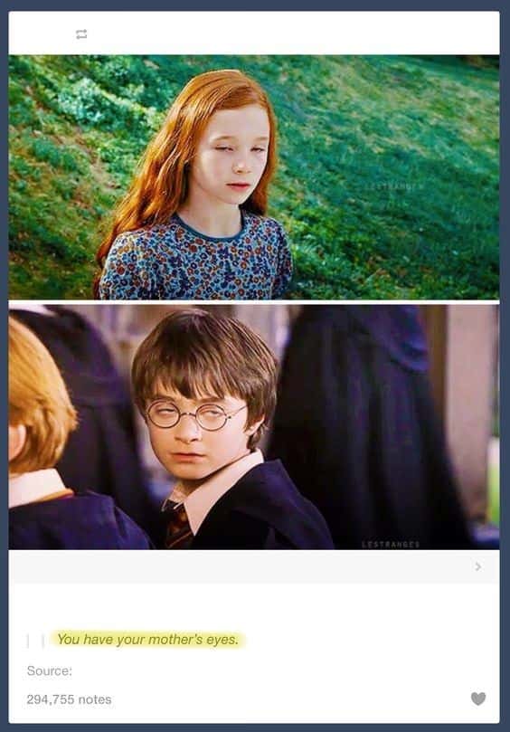 harry potter memes, wizarding world humor, magical memes, Hogwarts jokes, Potterverse memes, spellbinding humor, Dumbledore's laughter spells