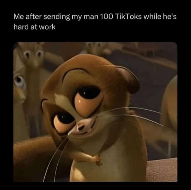 healthy relationship memes. Me after sending my man 100 TikToks while he's hard at work