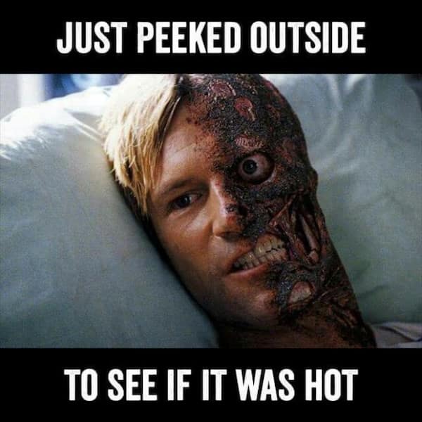 heatwave memes. JUST PEEKED OUTSIDE TO SEE IF IT WAS HOT
