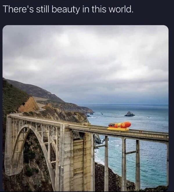 hot dog memes. There's still beauty in this world.