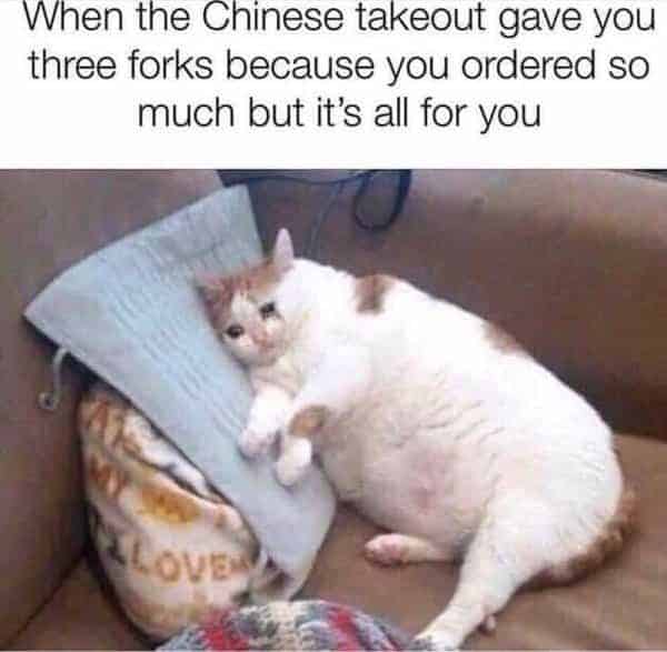 hot mess memes. When the Chinese takeout gave you three forks because you ordered so much but it's all for you