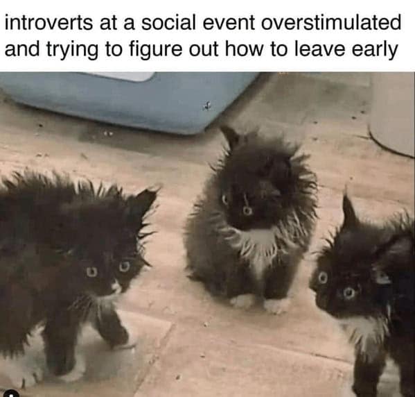 introvert memes. introverts at a social event overstimulated and trying to figure out how to leave early