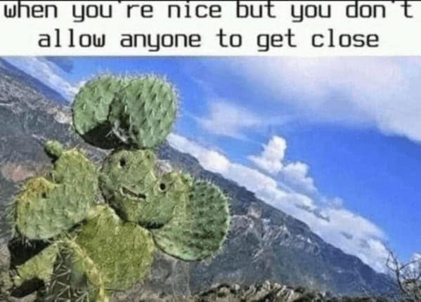introvert memes. when you re nice but you don t allow anyone to get close