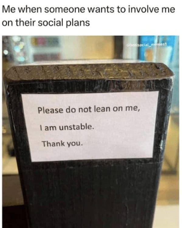 introvert memes. Me when someone wants to involve me on their social plans Please do not lean on me, I am unstable. Thank you.