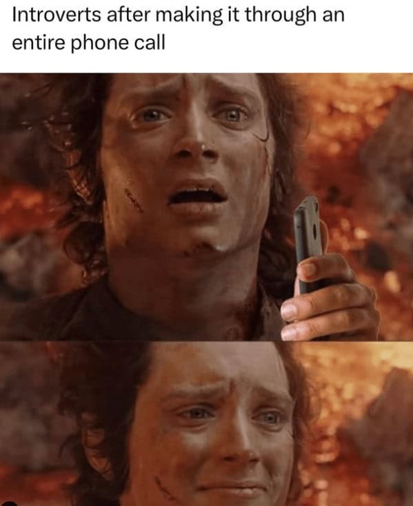 introvert memes. Introverts after making it through an entire phone call