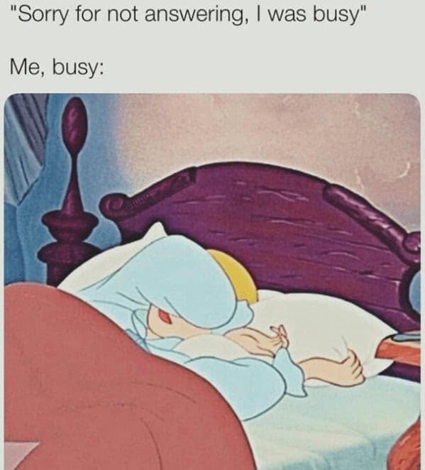 introvert memes. "Sorry for not answering, I was busy" Me, busy: