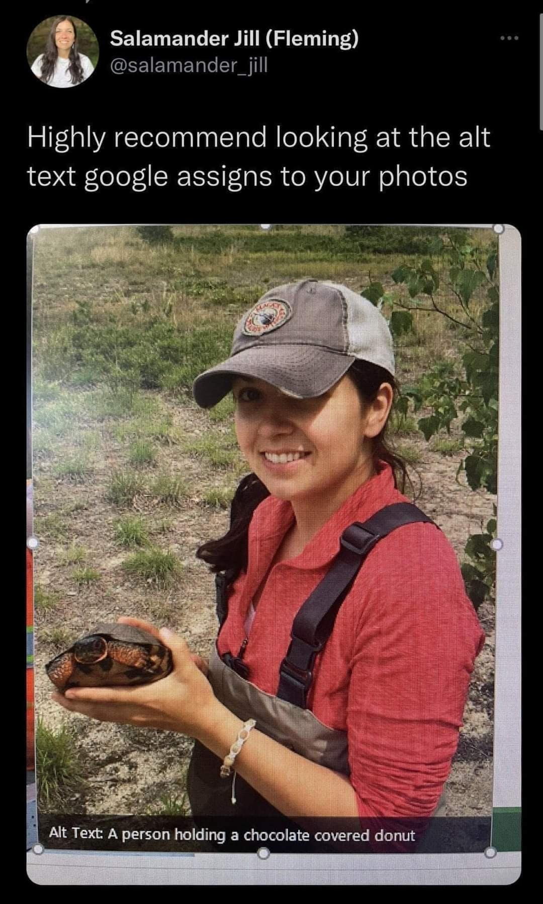 meme dump, funny memes, hilarious memes, trending memes, comical memes, amusing memes, laugh-out-loud memes, side-splitting memes, popular memes, viral memes