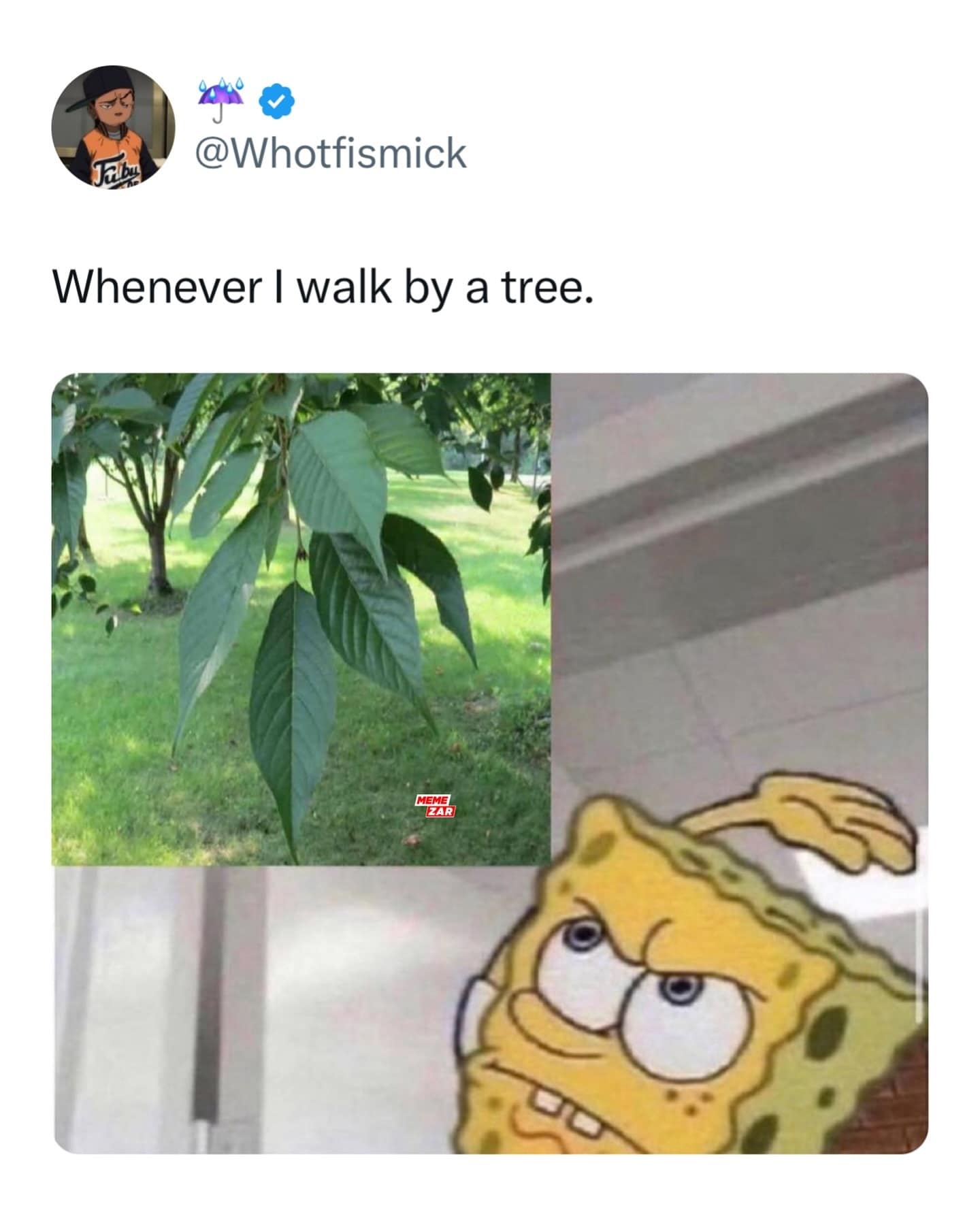 meme dump, funny memes, hilarious memes, funny tweets, meme compilation, meme gallery, dank meme