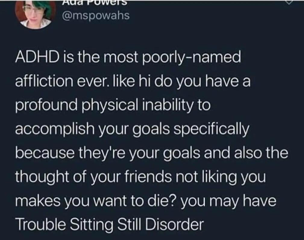 meme dump, funny memes, hilarious memes, funny tweets, meme compilation, meme gallery, dank meme