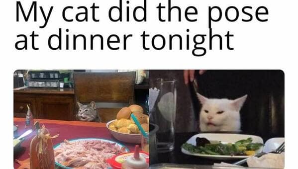 meme dump, funny memes, hilarious memes, Dank memes, Relatable memes