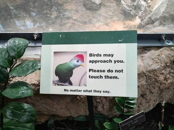 meme dump, funny memes, hilarious memes, Dank memes, Relatable memes