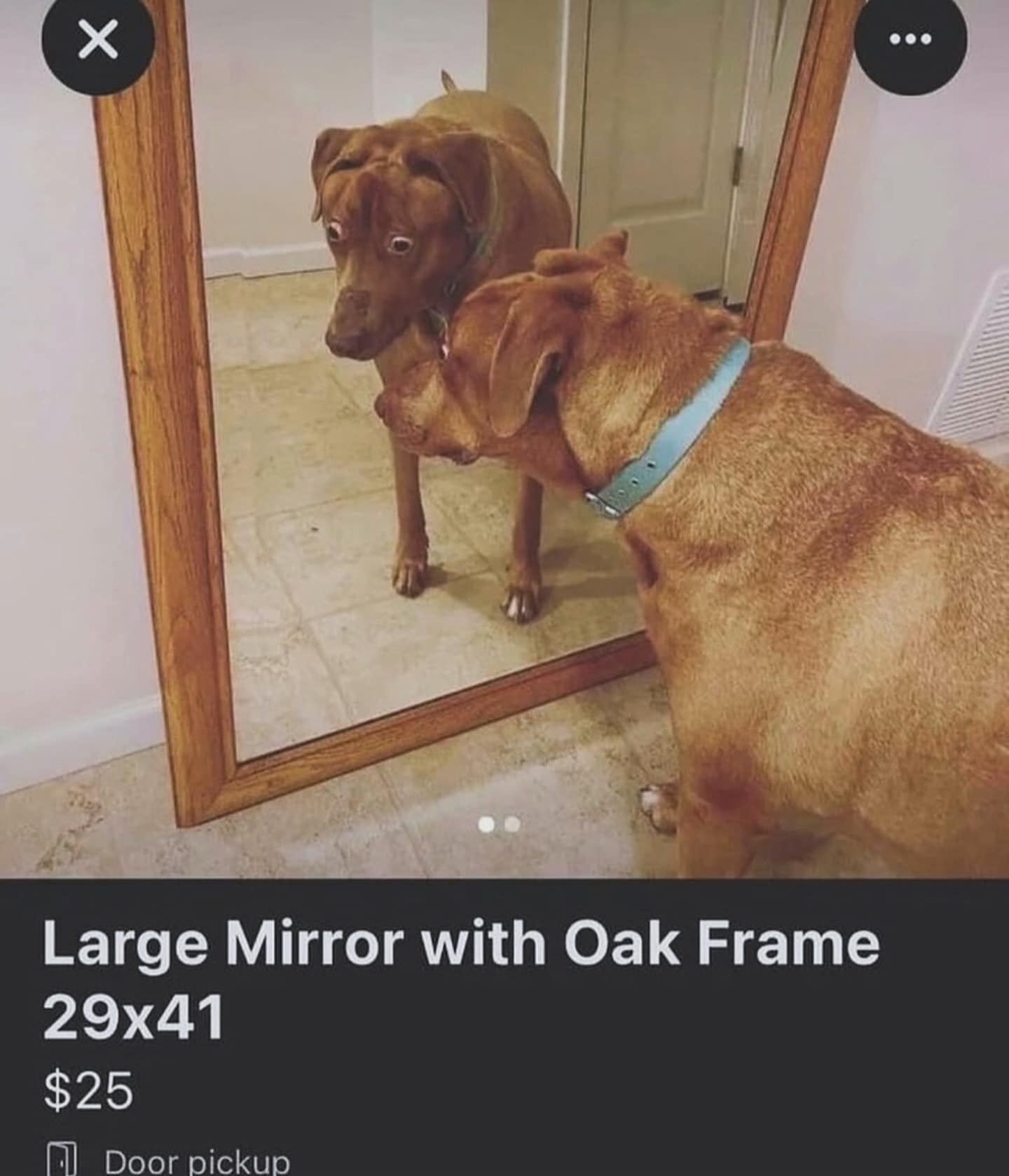 meme dump, funny memes, hilarious memes, lunch break memes, daily laughs, internet comedy, humor compilation, meme buffet, comedy roundup